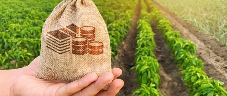 Fiagro: Revolucionando o Investimento no Agronegócio Brasileiro