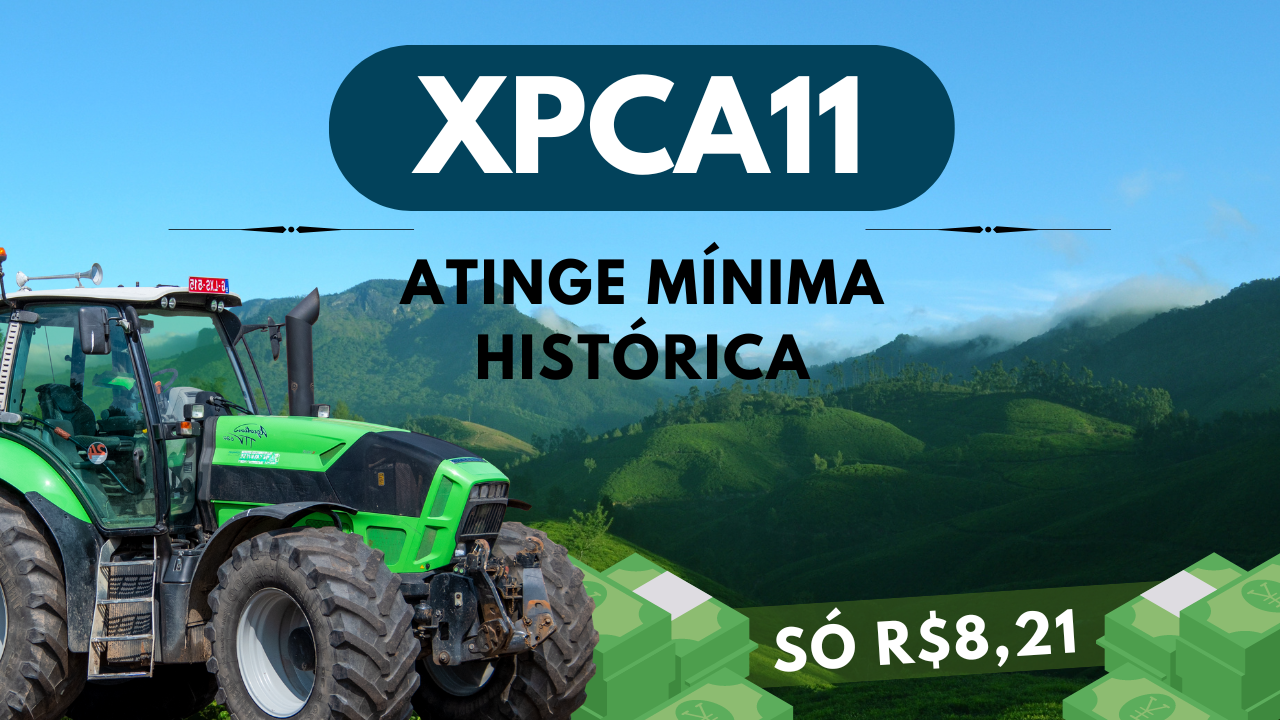 XPCA11 atinge mínima histórica